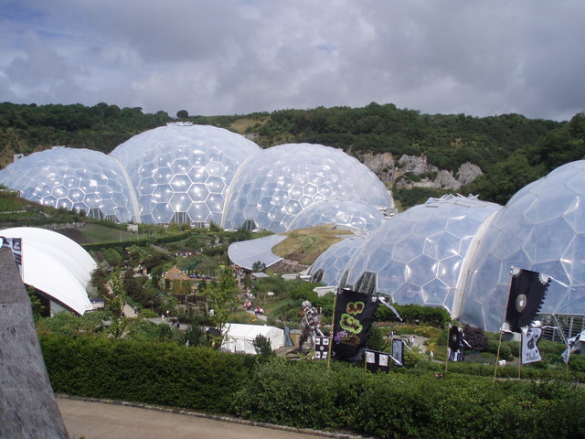 The Eden Project: Sequoias in England
